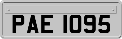 PAE1095