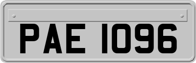 PAE1096