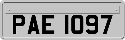 PAE1097