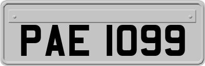 PAE1099