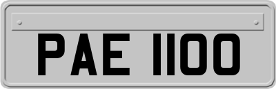 PAE1100