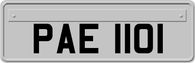 PAE1101