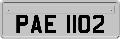 PAE1102