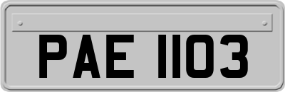 PAE1103