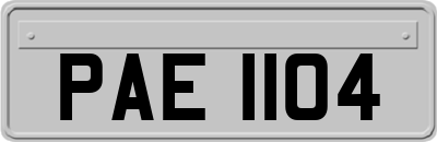 PAE1104