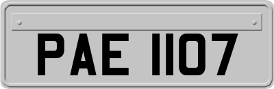 PAE1107