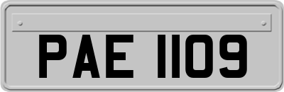 PAE1109