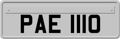 PAE1110