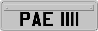 PAE1111