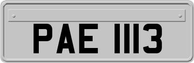 PAE1113