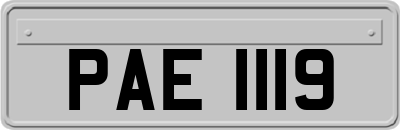 PAE1119
