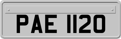 PAE1120