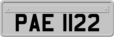 PAE1122