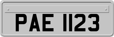 PAE1123