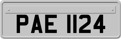 PAE1124