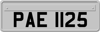 PAE1125