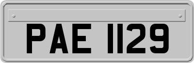 PAE1129