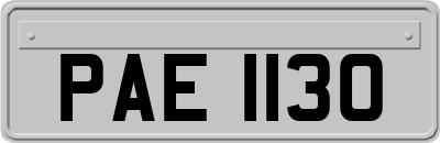 PAE1130