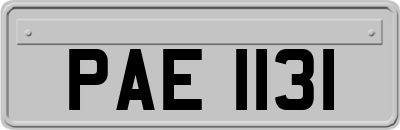PAE1131