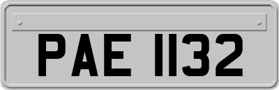 PAE1132