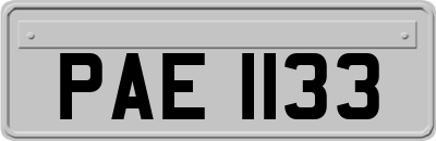 PAE1133