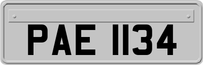 PAE1134