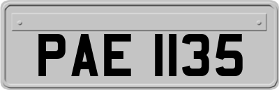 PAE1135