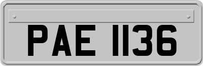PAE1136