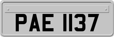 PAE1137