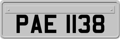 PAE1138