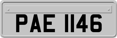 PAE1146