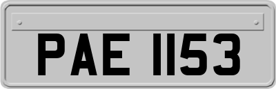 PAE1153