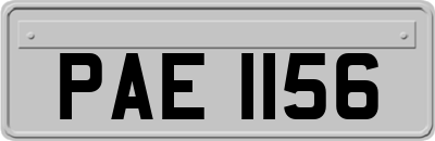 PAE1156