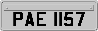 PAE1157