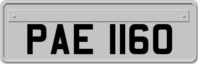 PAE1160