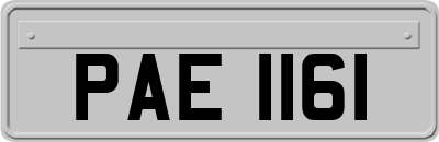 PAE1161