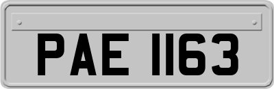PAE1163