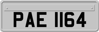 PAE1164