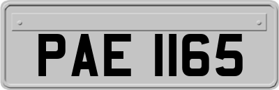 PAE1165