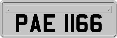 PAE1166