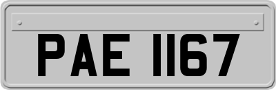 PAE1167