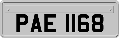 PAE1168