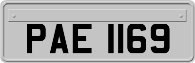 PAE1169