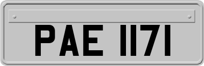 PAE1171