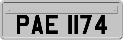 PAE1174