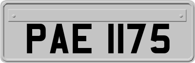 PAE1175