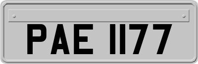 PAE1177