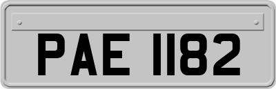 PAE1182