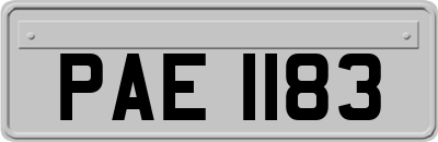 PAE1183