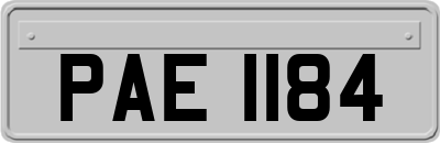 PAE1184